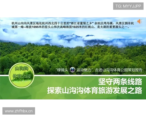 体育旅游市场中主题乐园的运营模式谈